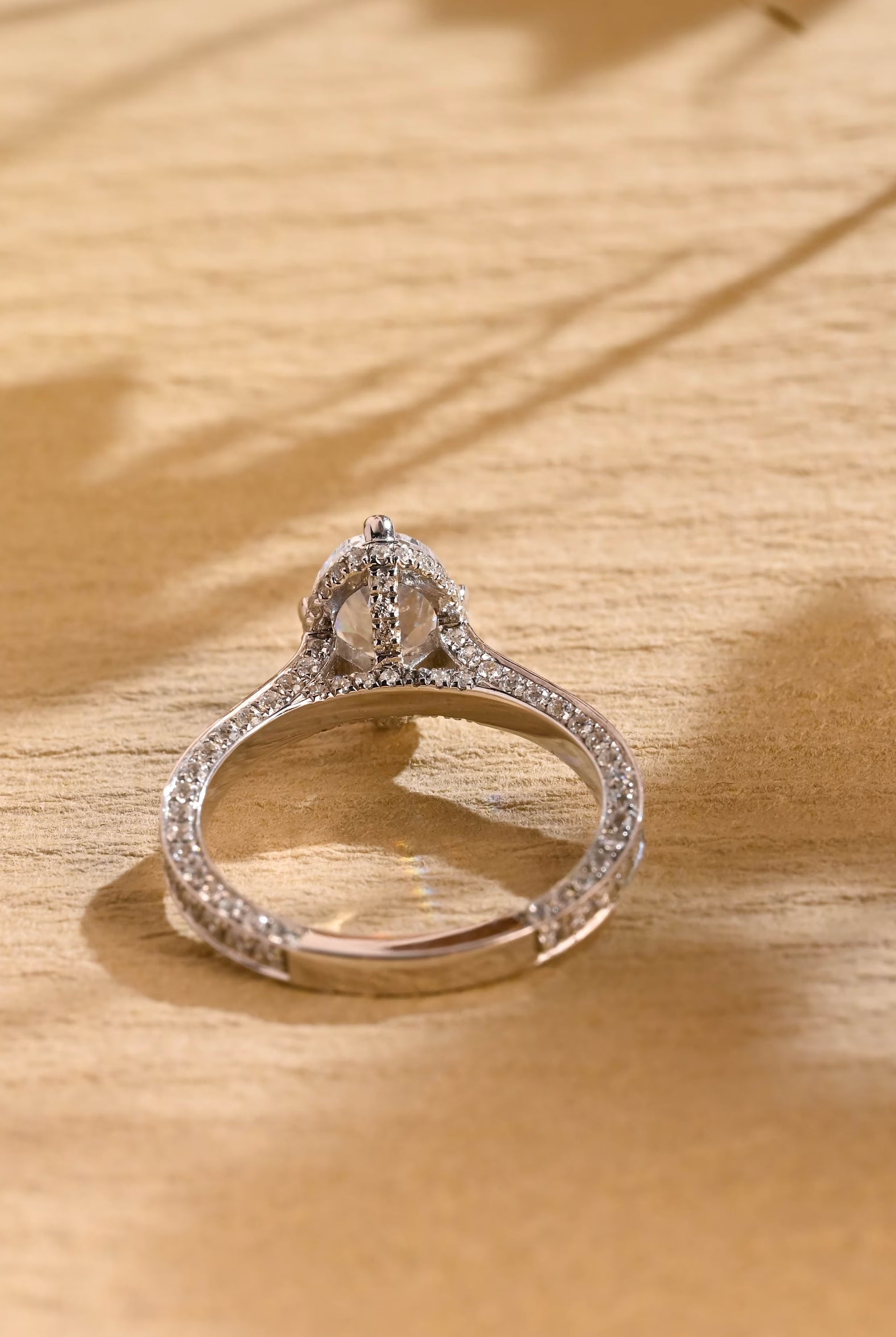 Diamond Halo Moissanite Ring