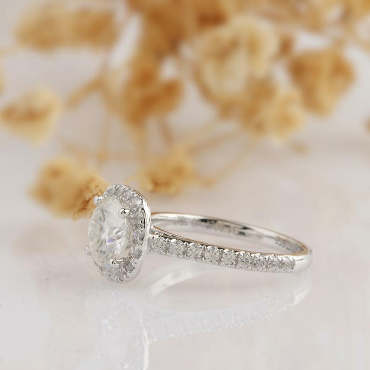 1.0CT Cathedral Set Round Moissanite Diamond Halo Engagement Ring