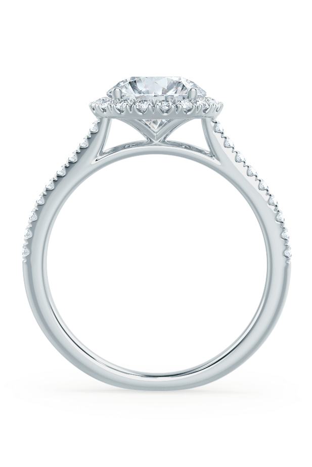 1-0-ct-round-shaped-moissanite-halo-style-engagement-ring-10
