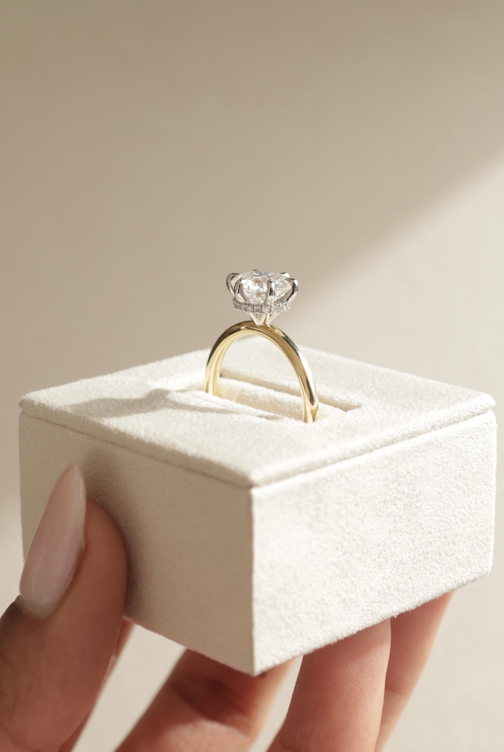 Hidden Halo Moissanite Ring