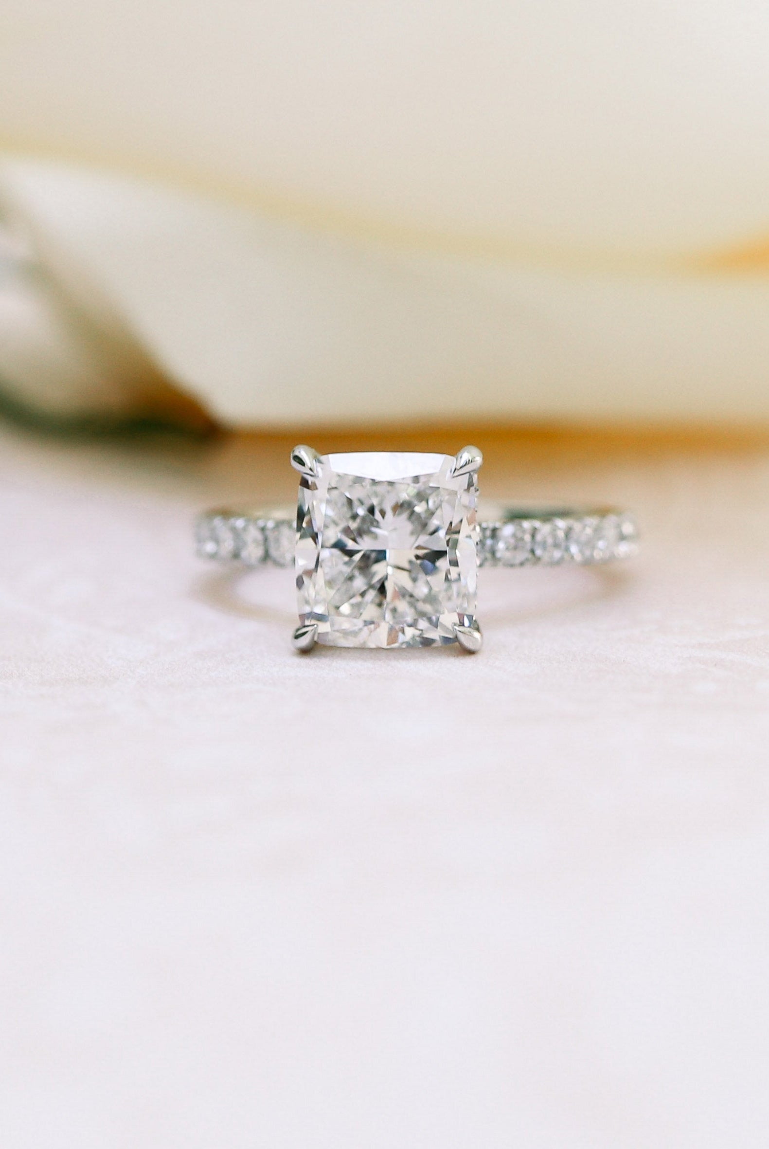Petite Pave Moissanite Ring