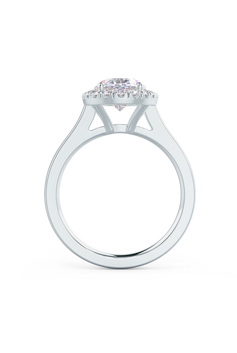 2.0CT Cathedral Set Oval Moissanite Diamond Halo Engagement Ring For Her