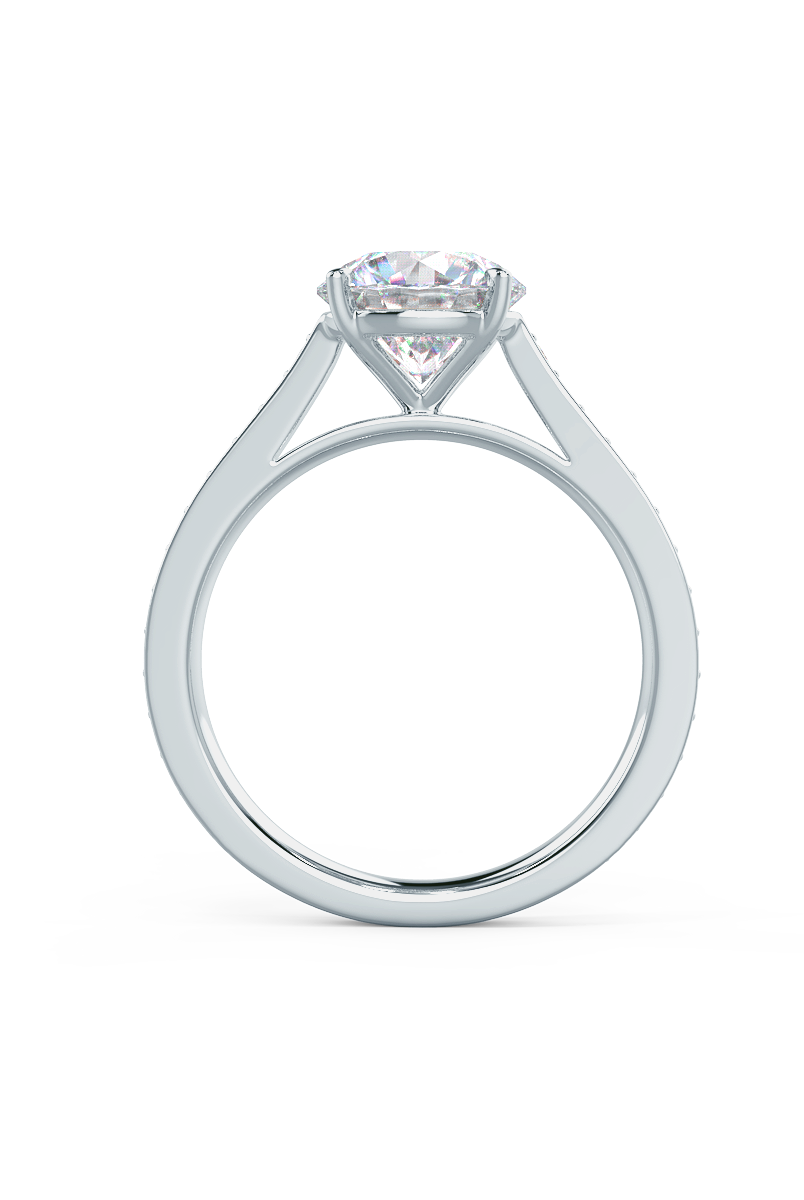 Moissanite Engagement Ring for Her