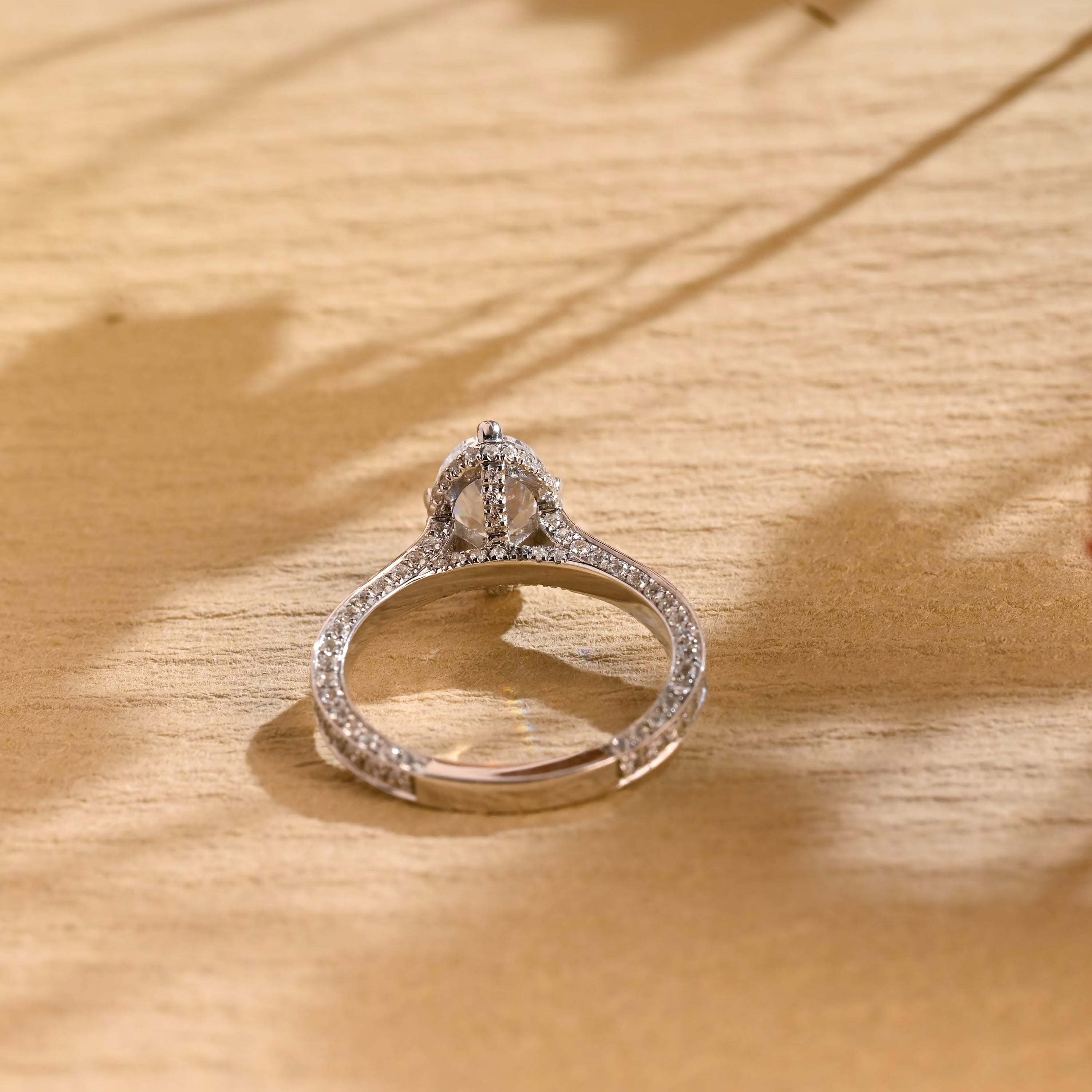 Diamond Halo Moissanite Ring