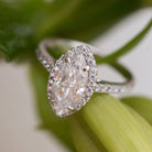 Marquise Cut Moissanite Ring