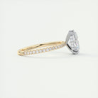 moissanite jewelry with express shipping
