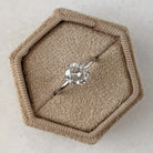 Round Brilliant Moissanite Ring