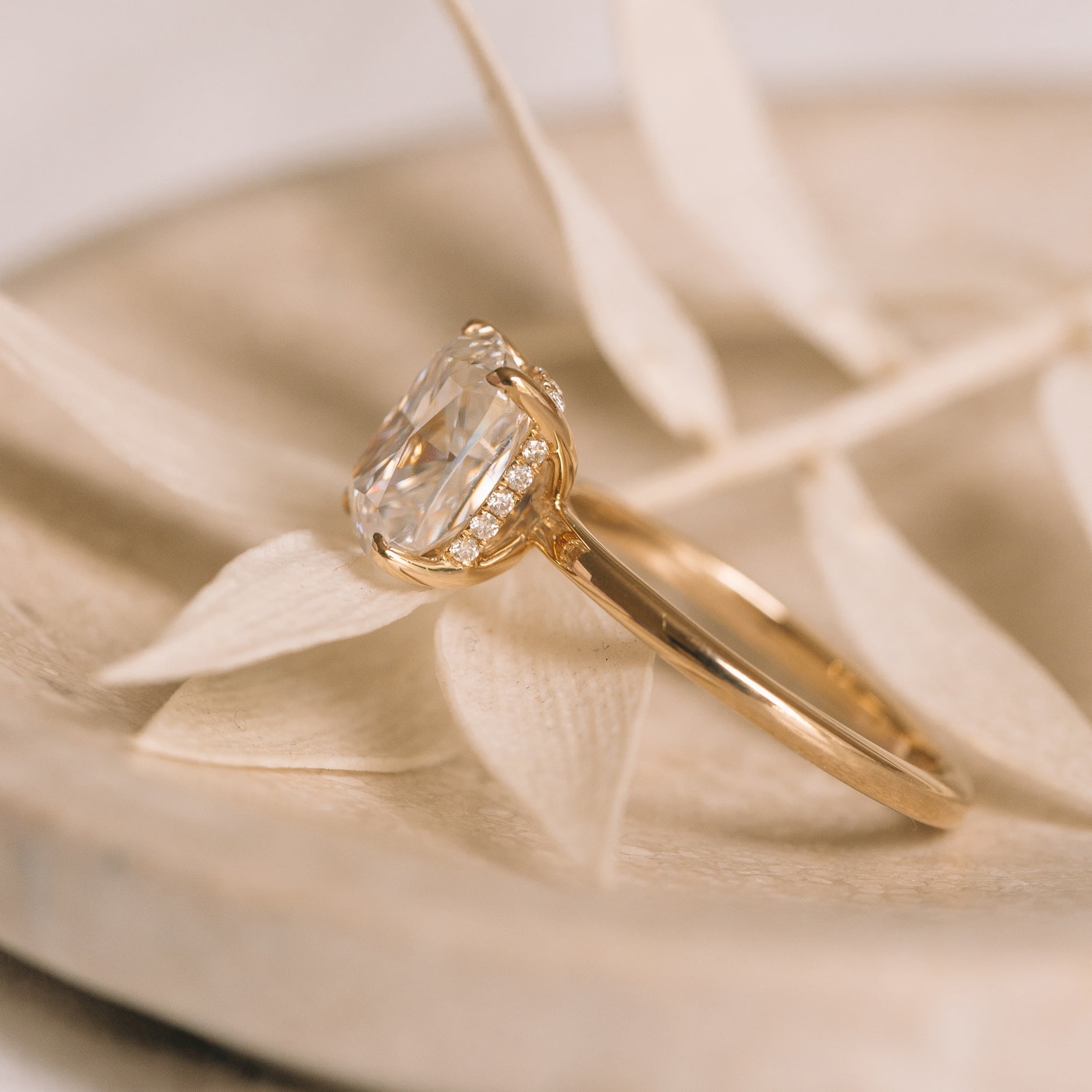 Cushion Hidden Halo Engagement Ring