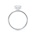 Hidden Halo Engagement Ring