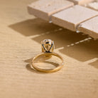 Hidden Halo Engagement Ring