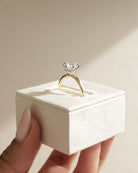 Hidden Halo Moissanite Ring