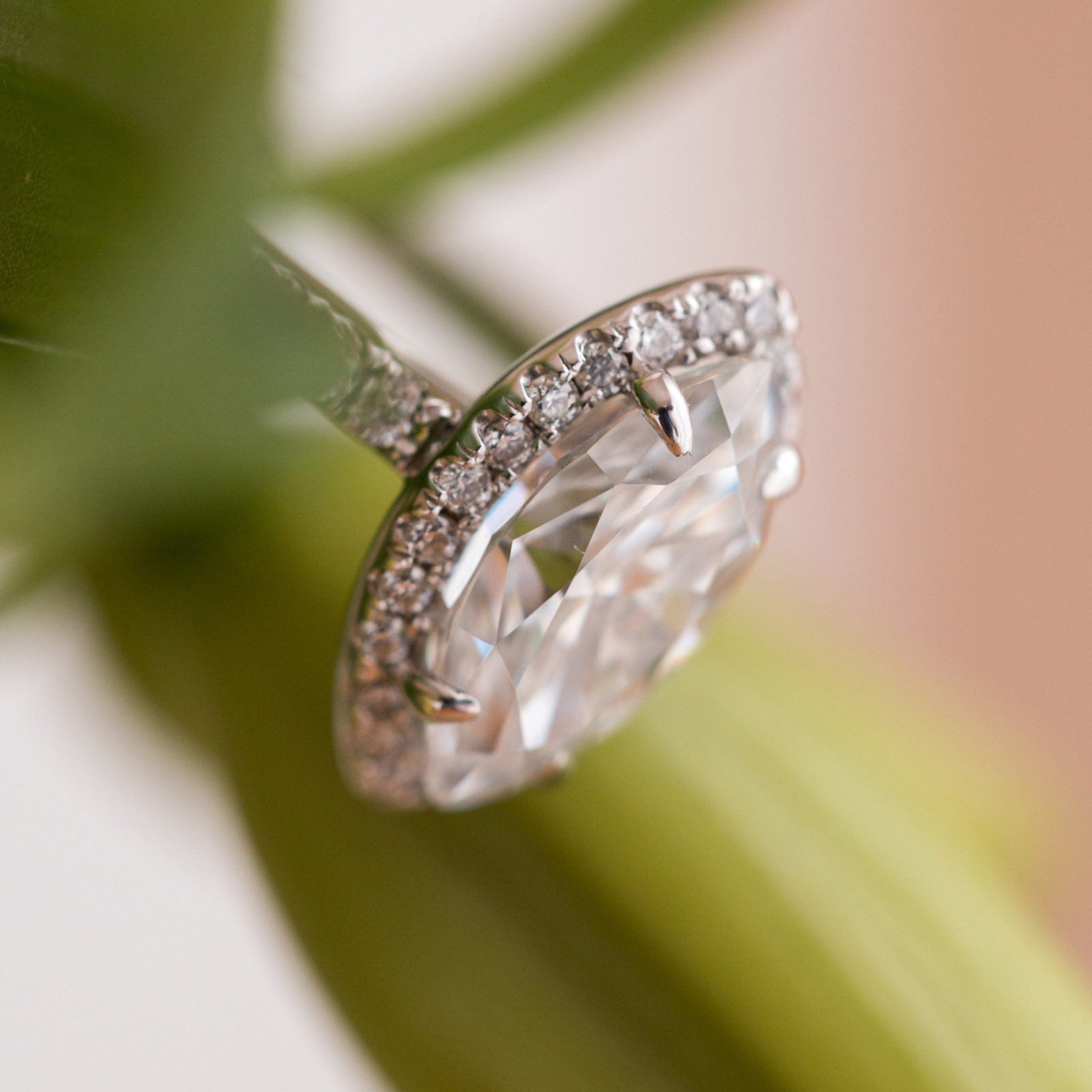 Moissanite Ring for Women