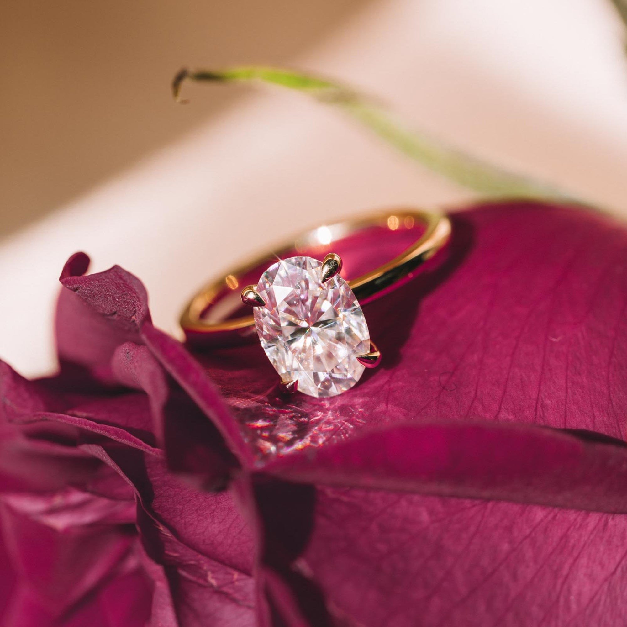 Hidden Halo Engagement Ring