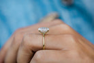 Hidden Halo Moissanite Ring