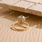 Hidden Halo Engagement Ring