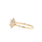 Halo Cluster Moissanite Ring