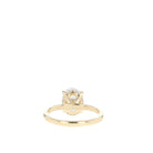Oval Cut Hidden Halo Ring