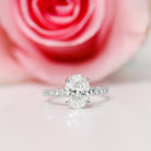 Classic Pave Moissanite Ring